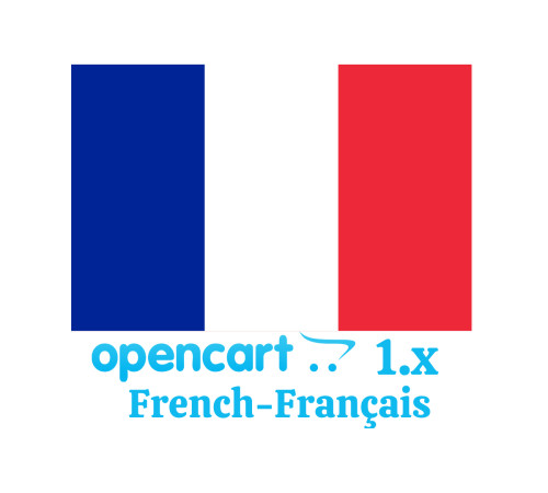 French language (French language) Full translation 1.0